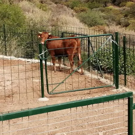 Hébergement de vacances Casa Roque Telde