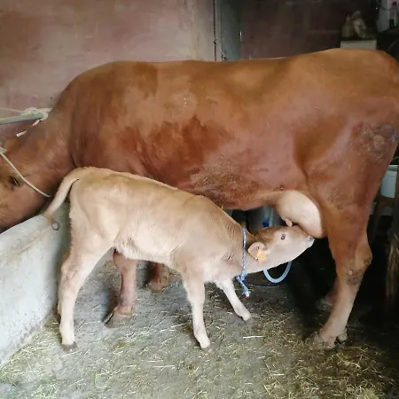 Casa Roque Semesterbostad