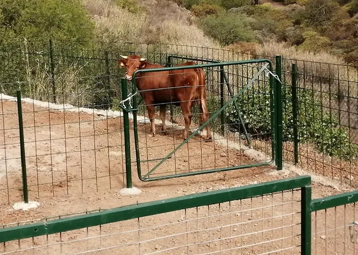 Prázdninový dům Casa Roque Telde