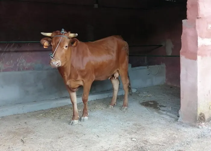 Casa Roque Prázdninový dům Telde